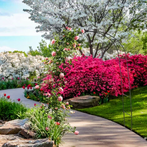 Relaxdays Arche à Rosier En Métal, Portail Pour Jardin, HxLxP: 240 X 140 X 38,5 Cm, Tuteur Pour Plantes Grimpantes, Noir 5 Relaxdays Arche à Rosier En Métal, Portail Pour Jardin, HxLxP: 240 X 140 X 38,5 Cm, Tuteur Pour Plantes Grimpantes, Noir – Image 3