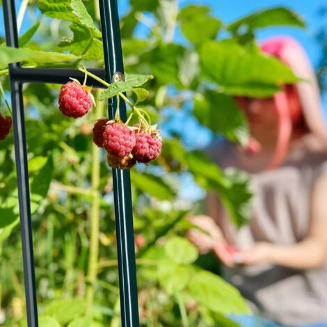 Relaxdays Arche à Rosier En Métal, Portail Pour Jardin, HxLxP: 240 X 140 X 38,5 Cm, Tuteur Pour Plantes Grimpantes, Noir 6 Relaxdays Arche à Rosier En Métal, Portail Pour Jardin, HxLxP: 240 X 140 X 38,5 Cm, Tuteur Pour Plantes Grimpantes, Noir – Image 4