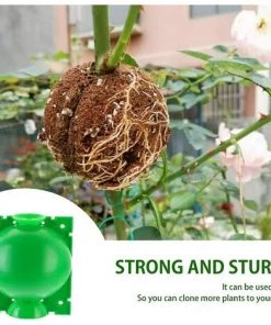 STARLIGHT 4 Pièces Boîte à Racines De Plantes, SL.GT Boîte De Greffage De Plantes, Plante Enracinement Dispositif, Boîte D'enracinement Des Plante 10 STARLIGHT 4 Pièces Boîte à Racines De Plantes, SL.GT Boîte De Greffage De Plantes, Plante Enracinement Dispositif, Boîte D'enracinement Des Plante -Accessoire de culture Soldes Boutique 59835913 4