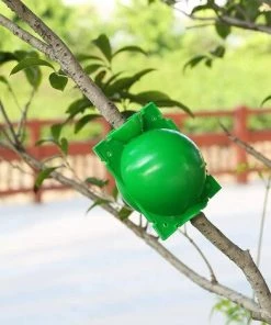 STARLIGHT 4 Pièces Boîte à Racines De Plantes, SL.GT Boîte De Greffage De Plantes, Plante Enracinement Dispositif, Boîte D'enracinement Des Plante 11 STARLIGHT 4 Pièces Boîte à Racines De Plantes, SL.GT Boîte De Greffage De Plantes, Plante Enracinement Dispositif, Boîte D'enracinement Des Plante -Accessoire de culture Soldes Boutique 59835913 5