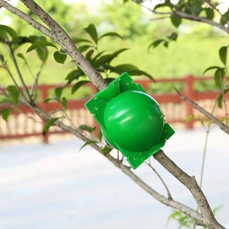 STARLIGHT 4 Pièces Boîte à Racines De Plantes, SL.GT Boîte De Greffage De Plantes, Plante Enracinement Dispositif, Boîte D'enracinement Des Plante 7 STARLIGHT 4 Pièces Boîte à Racines De Plantes, SL.GT Boîte De Greffage De Plantes, Plante Enracinement Dispositif, Boîte D'enracinement Des Plante – Image 5