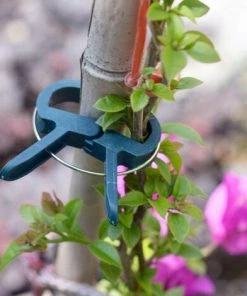 LangRay 20 Pièces Clips De Jardin Réglable, Réutilisables Clips De Support Attache Plante, Outil Jardinage Soutenir Clips De Plante Pour Jardin, Vigne, Légumes, Tomates, 10 Grand+ 10 Petit -Accessoire de culture Soldes Boutique 59918705 5