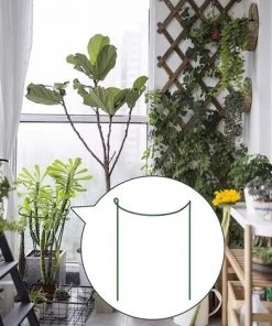 PERLE RARE Lot De 5 Supports Pour Plantes De Jardin, Demi-ronds Pour Tomates, Pivoines, Hortensias, Vignes, Fleurs Grimpantes D'intérieur Et D'extérieur (25 X 40 Cm) -Accessoire de culture Soldes Boutique 59968167 4