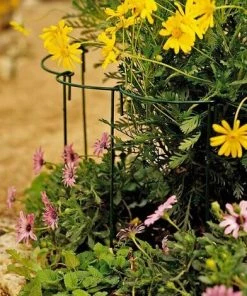 PERLE RARE Lot De 5 Supports Pour Plantes De Jardin, Demi-ronds Pour Tomates, Pivoines, Hortensias, Vignes, Fleurs Grimpantes D'intérieur Et D'extérieur (25 X 40 Cm) -Accessoire de culture Soldes Boutique 59968167 5