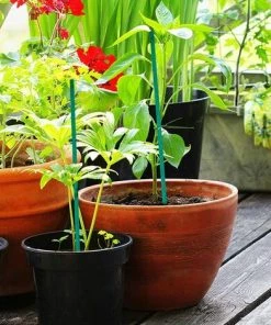 PERLE RARE Lot De 50 38 Cm Tuteurs Verts Pour Plantes De Pour Le Jardin 10 PERLE RARE Lot De 50 38 Cm Tuteurs Verts Pour Plantes De Pour Le Jardin -Accessoire de culture Soldes Boutique 59968774 4