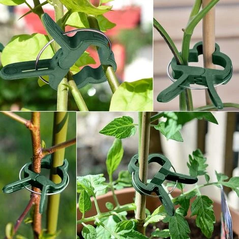 DENUOTOP Tuteurs Pour Plantes Clips Pour Plantes 60 PCS Extra Large Clips Pour Plantes Clip Stable Pour Sécuriser Les Plantes Supporte La Plantation (30 Grands + 30 Petits) 5 DENUOTOP Tuteurs Pour Plantes Clips Pour Plantes 60 PCS Extra Large Clips Pour Plantes Clip Stable Pour Sécuriser Les Plantes Supporte La Plantation (30 Grands + 30 Petits) – Image 3