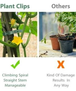 DENUOTOP Tuteurs Pour Plantes Clips Pour Plantes 60 PCS Extra Large Clips Pour Plantes Clip Stable Pour Sécuriser Les Plantes Supporte La Plantation (30 Grands + 30 Petits) 10 DENUOTOP Tuteurs Pour Plantes Clips Pour Plantes 60 PCS Extra Large Clips Pour Plantes Clip Stable Pour Sécuriser Les Plantes Supporte La Plantation (30 Grands + 30 Petits) -Accessoire de culture Soldes Boutique 60007741 4