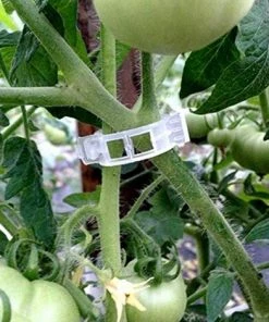 DENUOTOP Tuteurs Pour Plantes Jardin De Support De 100 Plantes, Clips Pour Légumes Tiges De Vigne Les Plantes Poussent Debout Et En Meilleure Santé - Blanc -Accessoire de culture Soldes Boutique 60009904 3