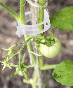 DENUOTOP Tuteurs Pour Plantes Jardin De Support De 100 Plantes, Clips Pour Légumes Tiges De Vigne Les Plantes Poussent Debout Et En Meilleure Santé - Blanc -Accessoire de culture Soldes Boutique 60009904 4