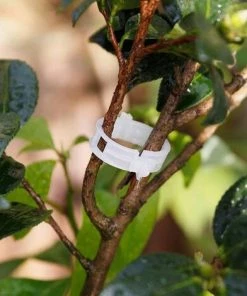DENUOTOP Tuteurs Pour Plantes Jardin De Support De 100 Plantes, Clips Pour Légumes Tiges De Vigne Les Plantes Poussent Debout Et En Meilleure Santé - Blanc -Accessoire de culture Soldes Boutique 60009904 5