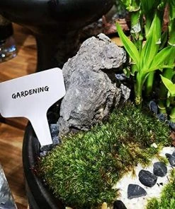 MINKUROW 100 Pieces Blanc Marqueurs En Plastique De Plantes Type T, Balises Durables De Marqueurs De Jardin Imperméables étiquettes De Semis -Accessoire de culture Soldes Boutique 60015956 4