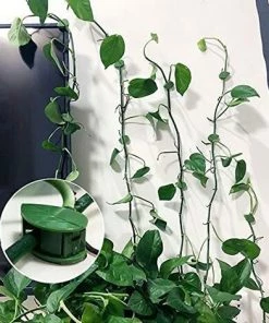 ENLENK Lot De 70 Clips Muraux Pour Plantes Grimpantes - Pour Jardin, Maison, Bureau -Accessoire de culture Soldes Boutique 60168339 3