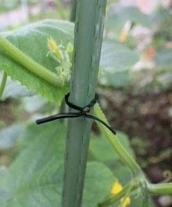 DKSFJKL 100m Attaches De Jardin Pour Plantes, Fil De Lien De Greffe De Greffier D'organisateur D'usine En Plastique Pour Le Jardinage, Liens De Câble En Métal Polyvalents (Noir) -Accessoire de culture Soldes Boutique 60399333 3