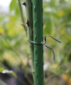 DKSFJKL 100m Attaches De Jardin Pour Plantes, Fil De Lien De Greffe De Greffier D'organisateur D'usine En Plastique Pour Le Jardinage, Liens De Câble En Métal Polyvalents (Noir) -Accessoire de culture Soldes Boutique 60399333 4