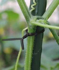 DKSFJKL 100m Attaches De Jardin Pour Plantes, Fil De Lien De Greffe De Greffier D'organisateur D'usine En Plastique Pour Le Jardinage, Liens De Câble En Métal Polyvalents (Noir) -Accessoire de culture Soldes Boutique 60399333 5