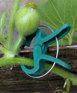 REGALOS Paquet De 40 Pinces à Plantes Et Pinces à Tomates Et Supports De Plantes De Jardin, Pinces à Plantes Pour Plantes Grimpantes, Pinces à Vignes Pour Redresser -Accessoire de culture Soldes Boutique 60446978 4