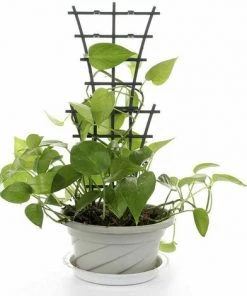 Mini Tuteurs De Plantes Grimpantes Pour Plantes Grimpantes En Plastique LITZEE Lot De 4 Accessoires -Accessoire de culture Soldes Boutique 60479718 4