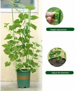 Tuteurs Pour Plantes Grimpantes 45 Cm Avec 3 Anneaux De Support Réglables LITZEE Lot De 3 Accessoires 9 Tuteurs Pour Plantes Grimpantes 45 Cm Avec 3 Anneaux De Support Réglables LITZEE Lot De 3 Accessoires -Accessoire de culture Soldes Boutique 60479845 3