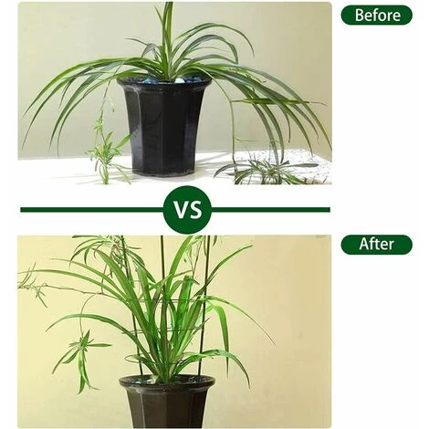 Tuteurs Pour Plantes Grimpantes 45 Cm Avec 3 Anneaux De Support Réglables LITZEE Lot De 3 Accessoires 6 Tuteurs Pour Plantes Grimpantes 45 Cm Avec 3 Anneaux De Support Réglables LITZEE Lot De 3 Accessoires – Image 4