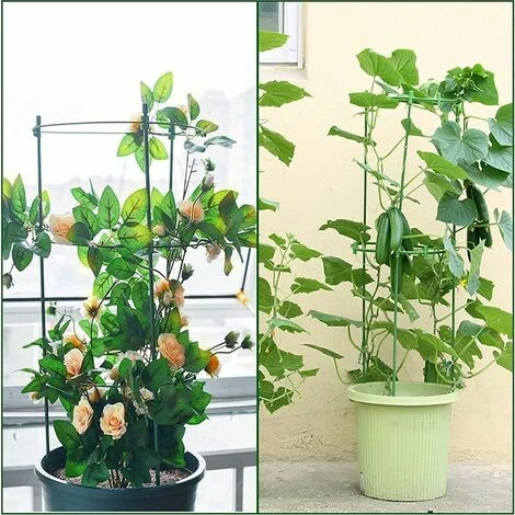 Tuteurs Pour Plantes Grimpantes 45 Cm Avec 3 Anneaux De Support Réglables LITZEE Lot De 3 Accessoires 7 Tuteurs Pour Plantes Grimpantes 45 Cm Avec 3 Anneaux De Support Réglables LITZEE Lot De 3 Accessoires – Image 5
