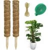 FLYME 2 Pièces Tuteur Plante Support Plante Grimpante Tuteur Coco Pour Plante Monstera Maison Jardin Avec 1 Rouleau Serre Câbles Et 2m Ficelle De Jute (40 Cm) -Accessoire de culture Soldes Boutique 60493422 1
