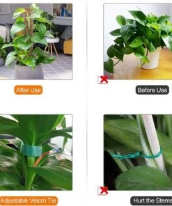FLYME 2 Pièces Tuteur Plante Support Plante Grimpante Tuteur Coco Pour Plante Monstera Maison Jardin Avec 1 Rouleau Serre Câbles Et 2m Ficelle De Jute (40 Cm) -Accessoire de culture Soldes Boutique 60493422 4