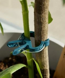 ZOLGINAH Clips Pour Attacher Les Plantes: 50 Clips Vert Pour Plantes Taille M - Aide à L'escalade Des Plantes Grimpantes Sur Tuteur Spirale Ou Piquet Bambou - Clips Pour Le Jardinage Et Le Potager -Accessoire de culture Soldes Boutique 60578311 4