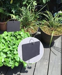 ZOLGINAH 10 Pcs Étiquettes Plantes En Ardoise Pour Plantes, Marqueurs De Plantes De Jardin,Étiquettes Naturelles Avec Piquets En Métal Et Stylos à Craie Pour Cour, L'extérieur &Serre -Accessoire de culture Soldes Boutique 60651762 5