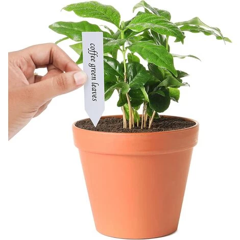 ZOLGINAH Etiquette Potager En Plastique Multicolore (Lot De 500) - 10 X 2 Cm - Pancarte Jardin Potager/Etiquette Jardin Imperméable En 5 Couleurs Pour Pépinière, Semences, Plantes Et Herbes 5 ZOLGINAH Etiquette Potager En Plastique Multicolore (Lot De 500) - 10 X 2 Cm - Pancarte Jardin Potager/Etiquette Jardin Imperméable En 5 Couleurs Pour Pépinière, Semences, Plantes Et Herbes – Image 3