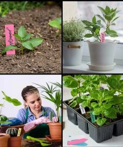 ZOLGINAH Etiquette Potager En Plastique Multicolore (Lot De 500) - 10 X 2 Cm - Pancarte Jardin Potager/Etiquette Jardin Imperméable En 5 Couleurs Pour Pépinière, Semences, Plantes Et Herbes 11 ZOLGINAH Etiquette Potager En Plastique Multicolore (Lot De 500) - 10 X 2 Cm - Pancarte Jardin Potager/Etiquette Jardin Imperméable En 5 Couleurs Pour Pépinière, Semences, Plantes Et Herbes -Accessoire de culture Soldes Boutique 60652556 5