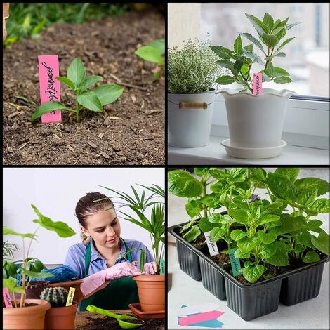 ZOLGINAH Etiquette Potager En Plastique Multicolore (Lot De 500) - 10 X 2 Cm - Pancarte Jardin Potager/Etiquette Jardin Imperméable En 5 Couleurs Pour Pépinière, Semences, Plantes Et Herbes 7 ZOLGINAH Etiquette Potager En Plastique Multicolore (Lot De 500) - 10 X 2 Cm - Pancarte Jardin Potager/Etiquette Jardin Imperméable En 5 Couleurs Pour Pépinière, Semences, Plantes Et Herbes – Image 5