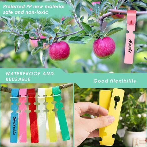 ZOLGINAH Etiquettes De Plantes, 100 Pièces Etiquette Jardin Imperméable, 21x2 CM Étiquette En Plastique, Étiquette De Jardin, Réutilisable, Pour Arbres Fruitiers, Fleurs, Plantes En Pot(Couleur: Vert) 4 ZOLGINAH Etiquettes De Plantes, 100 Pièces Etiquette Jardin Imperméable, 21x2 CM Étiquette En Plastique, Étiquette De Jardin, Réutilisable, Pour Arbres Fruitiers, Fleurs, Plantes En Pot(Couleur: Vert) – Image 2