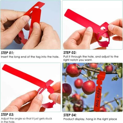 ZOLGINAH Etiquettes De Plantes, 100 Pièces Etiquette Jardin Imperméable, 21x2 CM Étiquette En Plastique, Étiquette De Jardin, Réutilisable, Pour Arbres Fruitiers, Fleurs, Plantes En Pot(Couleur: Vert) 5 ZOLGINAH Etiquettes De Plantes, 100 Pièces Etiquette Jardin Imperméable, 21x2 CM Étiquette En Plastique, Étiquette De Jardin, Réutilisable, Pour Arbres Fruitiers, Fleurs, Plantes En Pot(Couleur: Vert) – Image 3