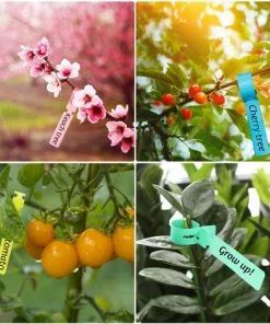 ZOLGINAH Etiquettes De Plantes, 100 Pièces Etiquette Jardin Imperméable, 21x2 CM Étiquette En Plastique, Étiquette De Jardin, Réutilisable, Pour Arbres Fruitiers, Fleurs, Plantes En Pot(Couleur: Vert) 10 ZOLGINAH Etiquettes De Plantes, 100 Pièces Etiquette Jardin Imperméable, 21x2 CM Étiquette En Plastique, Étiquette De Jardin, Réutilisable, Pour Arbres Fruitiers, Fleurs, Plantes En Pot(Couleur: Vert) -Accessoire de culture Soldes Boutique 60652740 4