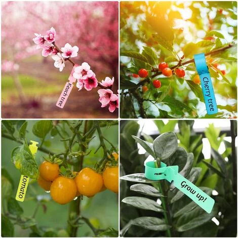 ZOLGINAH Etiquettes De Plantes, 100 Pièces Etiquette Jardin Imperméable, 21x2 CM Étiquette En Plastique, Étiquette De Jardin, Réutilisable, Pour Arbres Fruitiers, Fleurs, Plantes En Pot(Couleur: Vert) 6 ZOLGINAH Etiquettes De Plantes, 100 Pièces Etiquette Jardin Imperméable, 21x2 CM Étiquette En Plastique, Étiquette De Jardin, Réutilisable, Pour Arbres Fruitiers, Fleurs, Plantes En Pot(Couleur: Vert) – Image 4