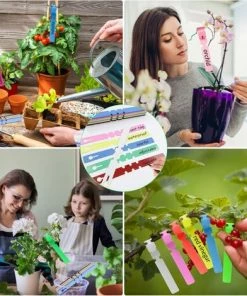 ZOLGINAH Etiquettes De Plantes, 100 Pièces Etiquette Jardin Imperméable, 21x2 CM Étiquette En Plastique, Étiquette De Jardin, Réutilisable, Pour Arbres Fruitiers, Fleurs, Plantes En Pot(Couleur: Vert) 11 ZOLGINAH Etiquettes De Plantes, 100 Pièces Etiquette Jardin Imperméable, 21x2 CM Étiquette En Plastique, Étiquette De Jardin, Réutilisable, Pour Arbres Fruitiers, Fleurs, Plantes En Pot(Couleur: Vert) -Accessoire de culture Soldes Boutique 60652740 5