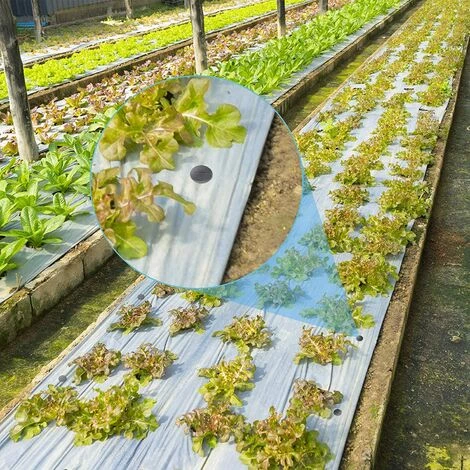 BAICCCF 60pièces, 11 Cm Lien Pour Végétaux Piquets En Plastique Noir Multifonctionnel Cour Et Jardin Piquets En Plastique Sol De Jardinage Robuste Piquet Antirouille Pour Support De Plantes, 6 BAICCCF 60pièces, 11 Cm Lien Pour Végétaux Piquets En Plastique Noir Multifonctionnel Cour Et Jardin Piquets En Plastique Sol De Jardinage Robuste Piquet Antirouille Pour Support De Plantes, – Image 4