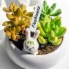 BAICCCF 500Pcs 10CM Plastique Plant Nursery Labels Pot Marker Stake Tags Blanc 2 BAICCCF 500Pcs 10CM Plastique Plant Nursery Labels Pot Marker Stake Tags Blanc -Accessoire de culture Soldes Boutique 60740274 1
