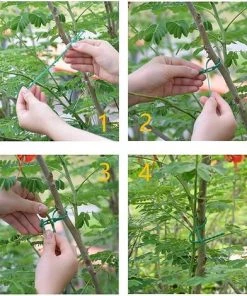 BAICCCF 50 Pièces Lien Pour Végétaux 17 Cm Attache Torsadée Flexible De Jardin, Attaches Zippées Réutilisables Pour Soutenir La Plante, Attaches De Jardin Réglables, Attaches De Câble Multifonctions En Forme D'os De Poisson -Accessoire de culture Soldes Boutique 60740551 4