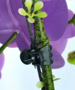 BAICCCF Tuteur Pour Végétaux 100 Pcs Greffoir Et Pince à Greffer, Clips D'Orchidées Clips De Support D'Orchidée Pour Plantes Clips De Fleurs Et De Vigne Pour Soutenir Les Tiges De Vignes Vert Foncé -Accessoire de culture Soldes Boutique 60740567 5