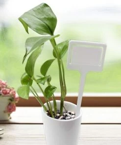 BAICCCF 20Pcs Cordeau De Jardin Blanc 18 Cm X 6.5 Cm D'épaisseur En Plastique Plante Étiquettes Étiquettes Étanche Pépinière Marqueurs 8 BAICCCF 20Pcs Cordeau De Jardin Blanc 18 Cm X 6.5 Cm D'épaisseur En Plastique Plante Étiquettes Étiquettes Étanche Pépinière Marqueurs -Accessoire de culture Soldes Boutique 60740571 3