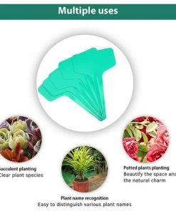BAICCCF 100 Etiquette Pour Plante étiquettes De Type T Pour Plantes En Plastique De 6 X 10 Cm étiquettes De Pépinière étiquettes De Plantes Vertes 10 BAICCCF 100 Etiquette Pour Plante étiquettes De Type T Pour Plantes En Plastique De 6 X 10 Cm étiquettes De Pépinière étiquettes De Plantes Vertes -Accessoire de culture Soldes Boutique 60740684 4