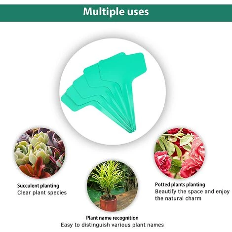 BAICCCF 100 Etiquette Pour Plante étiquettes De Type T Pour Plantes En Plastique De 6 X 10 Cm étiquettes De Pépinière étiquettes De Plantes Vertes 6 BAICCCF 100 Etiquette Pour Plante étiquettes De Type T Pour Plantes En Plastique De 6 X 10 Cm étiquettes De Pépinière étiquettes De Plantes Vertes – Image 4