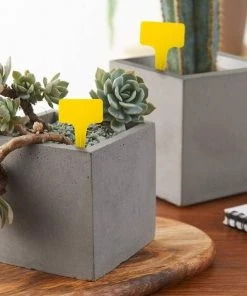 BAICCCF 100 étiquettes De Plantes Noires En Plastique Imperméables De Type T étiquettes De Pépinière Or 11 BAICCCF 100 étiquettes De Plantes Noires En Plastique Imperméables De Type T étiquettes De Pépinière Or -Accessoire de culture Soldes Boutique 60740685 5