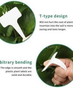 BAICCCF 100 Etiquette Pour Plante épais De Type T Pour Plantes, étiquettes De Pépinière, étiquettes Réutilisables Pour Plantes -Accessoire de culture Soldes Boutique 60740688 4