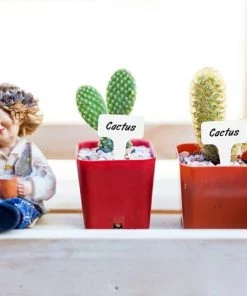 BAICCCF 100 Etiquette Pour Plante épais De Type T Pour Plantes, étiquettes De Pépinière, étiquettes Réutilisables Pour Plantes -Accessoire de culture Soldes Boutique 60740688 5