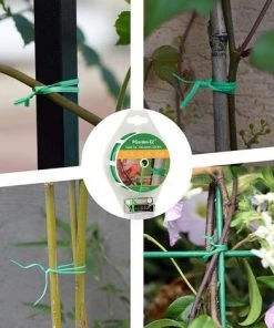 BAICCCF Lien Pour Végétaux- 100m D'attaches De Jardin Enduites De PE Avec Coupe-fil Pour Le Jardinage, Les Vignes De Tomates Et L'organisation De Câbles De Bureau à Domicile (1 Bobine/vert) -Accessoire de culture Soldes Boutique 60740835 3