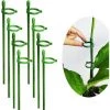 BAICCCF Lot De 8 Petits Piquets De Soutien Pour Plantes, Piquet De Soutien De Jardin Réglable, Anneau De Support De Jardinière Pour Orchidée, Rose, Pivoine, Poivrons Et Plus Encore, 30 Cm