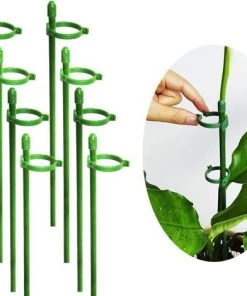 BAICCCF Lot De 8 Petits Piquets De Soutien Pour Plantes, Piquet De Soutien De Jardin Réglable, Anneau De Support De Jardinière Pour Orchidée, Rose, Pivoine, Poivrons Et Plus Encore, 30 Cm