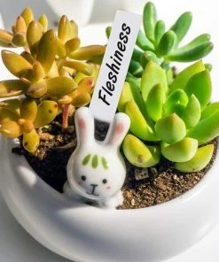 BAICCCF 500 Pcs 10CM Plastique Plant Nursery Labels Pot Marker Stake Tags Blanc